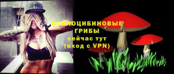 стаф Алексин