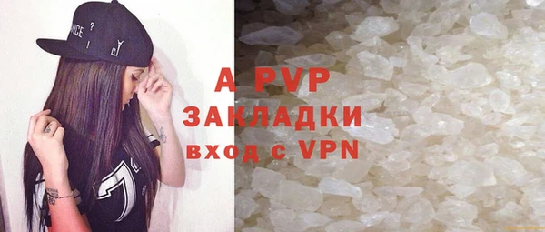 стаф Алексин