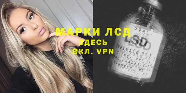стаф Алексин