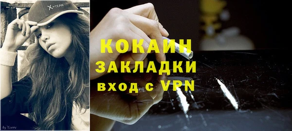 стаф Алексин